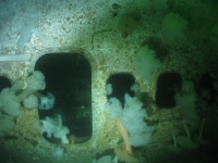 boeing artificial reef